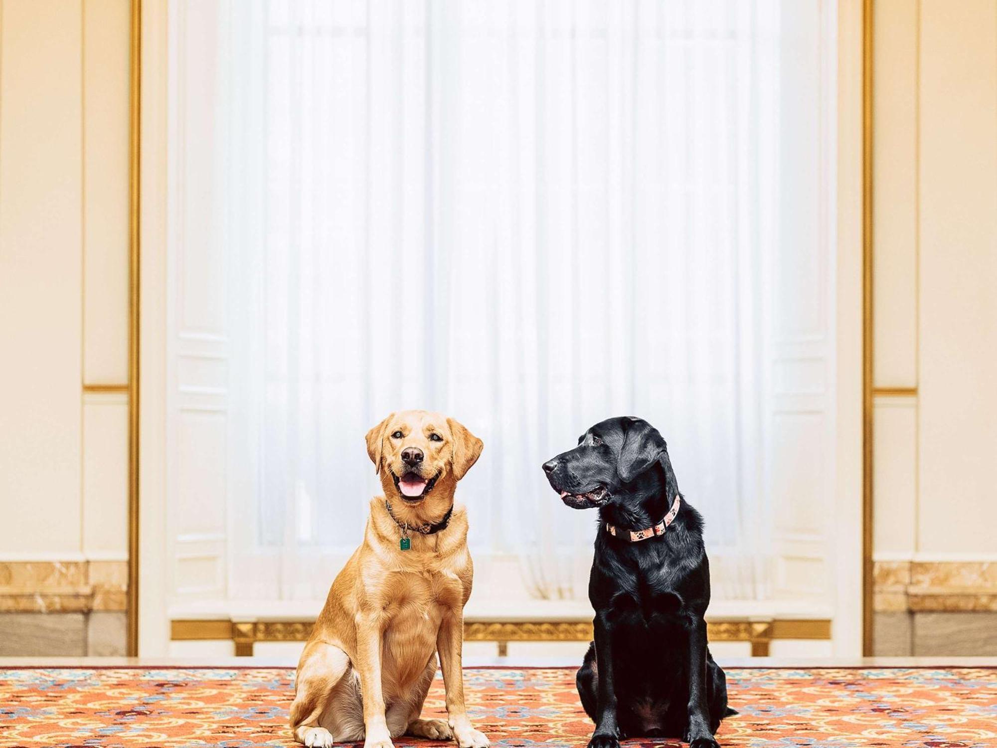 Fairmont Hotel Ванкувър Екстериор снимка Sunny and Bo